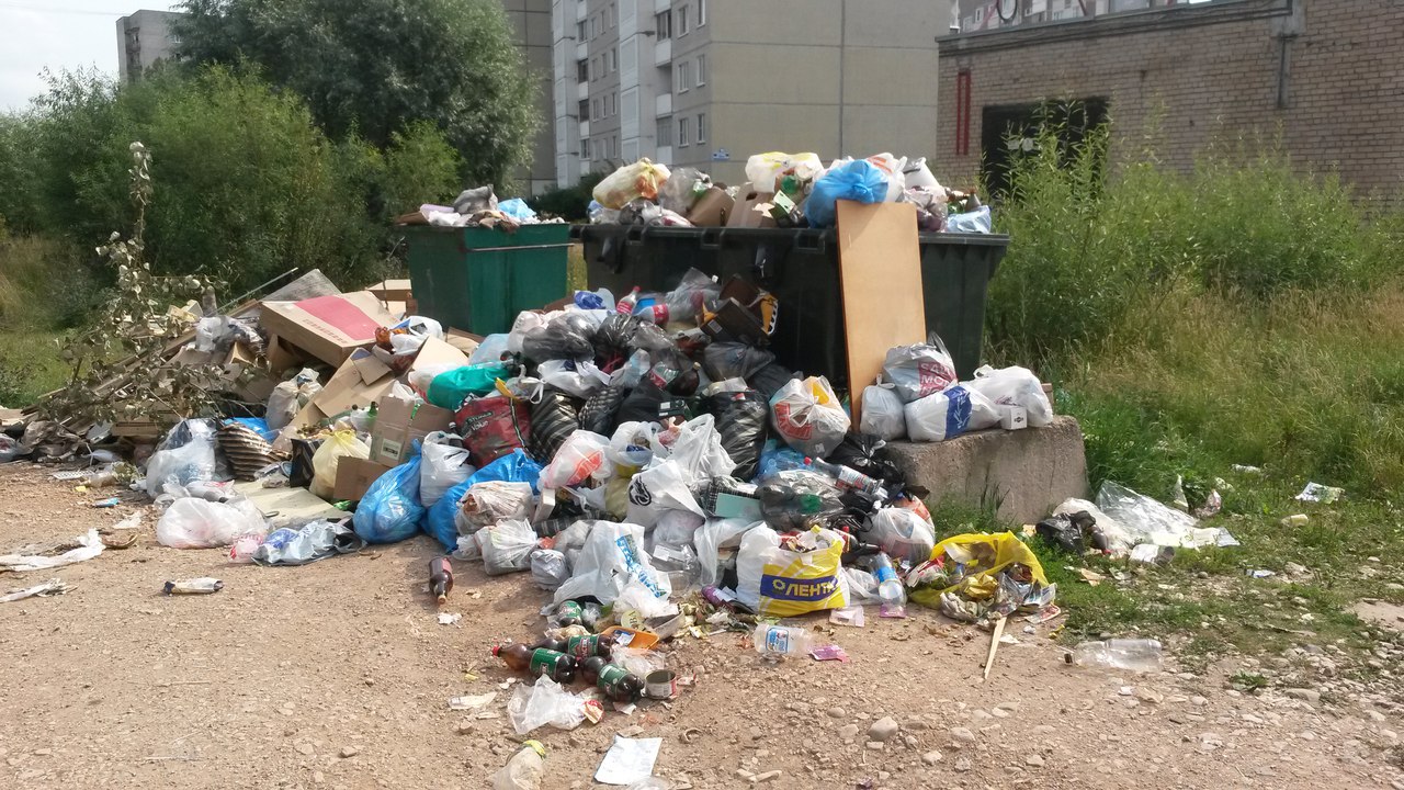 Уполномоченный побудил администрацию Бегуницкого СП принять решение о ликвидации мусорной свалки