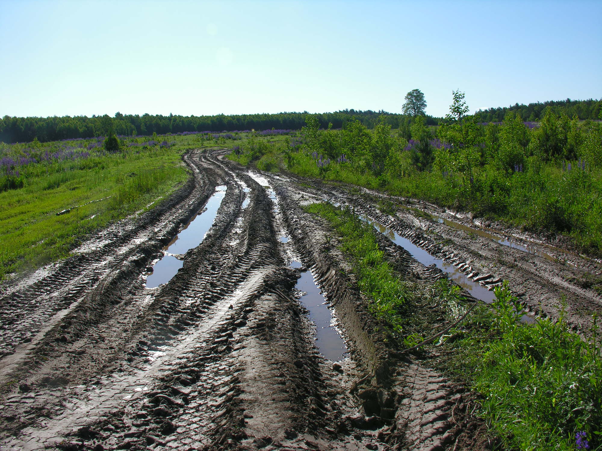 Уполномоченный побудил администрацию Кингисеппского района запланировать ремонт разбитой «сельской» автодороги